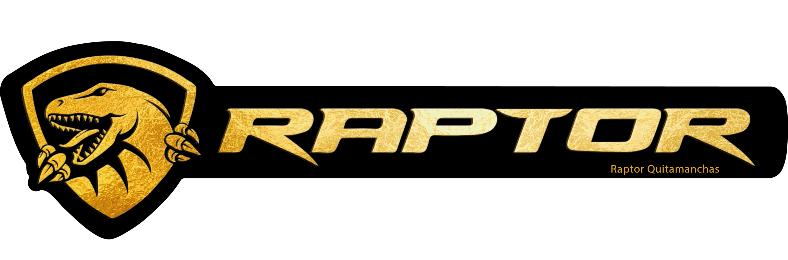 RAPTOR Detailing